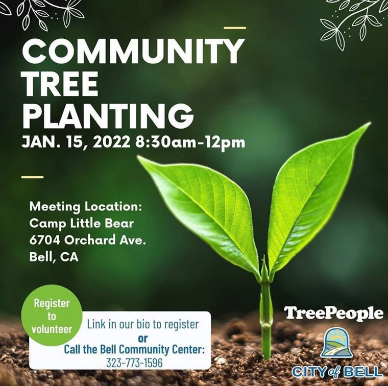 Community Tree Planting flyer