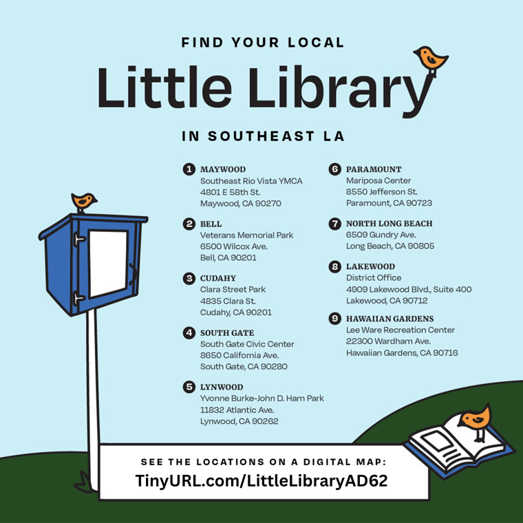 Little Libraries flyer