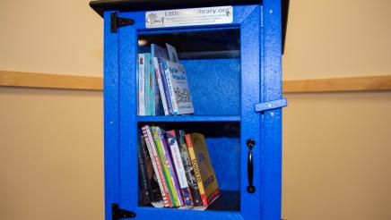 Blue Little Free Library book-sharing box
