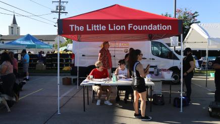 The Little Lion Foundation booth