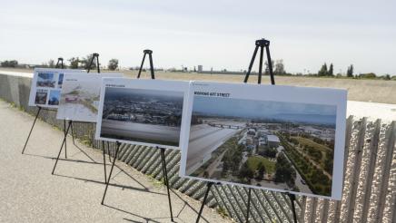 Row of renderings on display